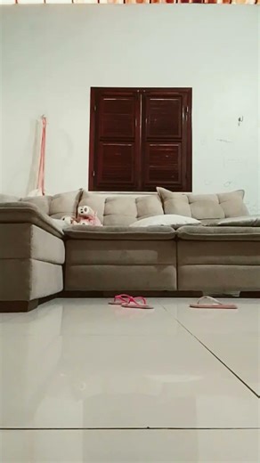 Sugadora de gatos🐱