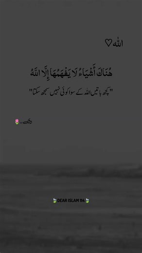 Understanding the Unseen: The Wisdom of Allah