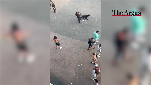 Armed police had to pin a man to the floor on Brighton seafront after a report of a group of people with knives. At least 11 Sussex Police officers were at the scene of the incident. Read the full story 👇 https://trib.al/2ZdyzZl | The Argus