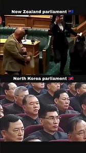 Casual Democracy vs Strict Power 😳 New Zealand Parliament vs North Korea #short #shorts #viral