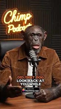 Chimp Podcast | #shorts