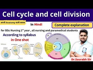 cell division || Cell cycle || mitosis| meiosis | BSc nursing 1st year || GNM|| paramedical|| NEET