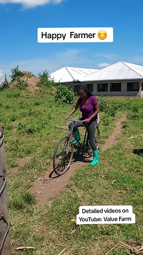 Farming is enjoyable! Focus on improving your business all the time,it becomes easy! Detailed videos on YouTube: Value Farm #valuefarm #foryou #fyp #richmindset #foryoupage #viralvideo #sharingiscaring #entrepreneur #modernfarming #goatsoftiktok #ugandatiktok #ben