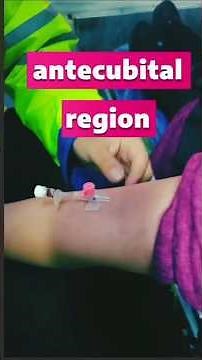 Mastering the Cubital Veins: A Step-by-Step Venipuncture Guide#nursing #injection #music