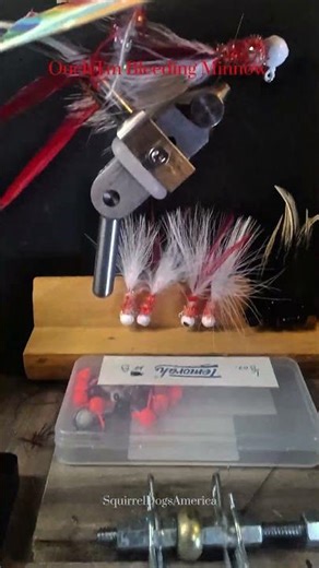 Ouch !! I'm Bleeding Minnow Crappie Jig #crappie #crappiefishing #fishing #angler #bassfishing