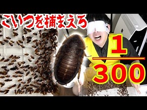 It won't end until you catch another cockroach from the mass of cockroaches.