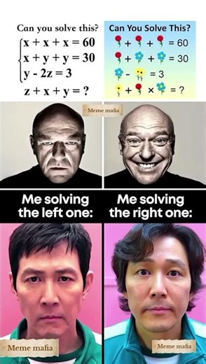 Similar but different style 🤪🤪 maths is not easy#memes