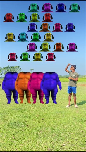 Four different colour fatty dog vs me correct head matching with tu radha meri main songs 😆😆#shorts