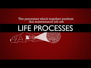 #Life processes introduction : 10th biology : CBSE Syllabus : NCERT class 10 : X Science