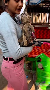 18K views · 2.1K reactions | Urgent donation appeal  Donation platform - 9667016057(gpay/paytm/phonepe) Account no - 4445230893IFSC code: KKBK0004660Bank kotak Mahindra Bank branch Uttam Nagar NawadaAccount holder name - Jagriti Mishra Bache ki puri video kl YouTube channel pr upload hogi  please donate Thank you | Street_worldz709 | Facebook