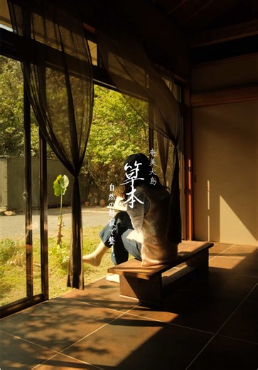心の底から自然を感じられる宿。#japan #airbnb #fyp #奄美大島 #草本
