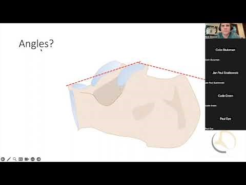 Calcaneus fractures Part 1 Radiographic review and assessment