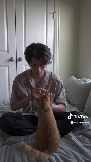 Clicker Training Cats: Expert Tips from The Wildest