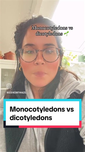 Monocotyledons vs Dicotyledons: Key Differences