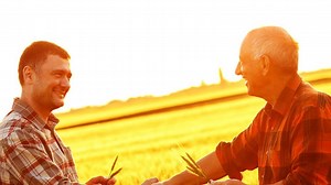 BASF în câmp/Cultura marului.