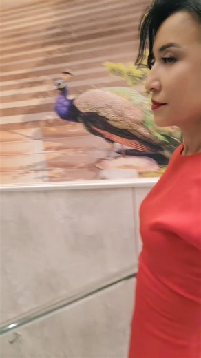 Dami (@_s_mail.ru)’s videos with оригинальный звук - Dami