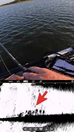 13K views · 84 reactions | Talk about a MEGA Crappie  #MEGALive Bass Brawl Outdoors #CrappieFishing #Humminbird #Crappie | Humminbird | Facebook