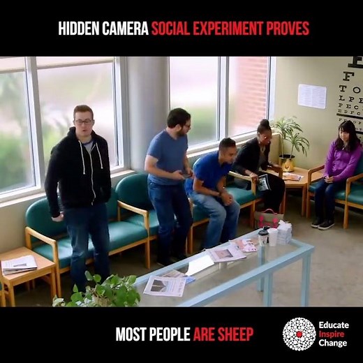 Just because everyone else is doing it, doesn't mean you have to do it. This social experiment proves that most people are sheep. Video by: Educate Inspire Change | Foundr