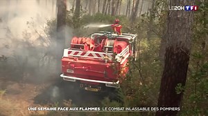 528K views · 10K reactions | Dans le secteur du Teste-de-la-Buch, comment les pompiers ont-ils fait face à l’évolution du feu ? | TF1 INFO | Facebook