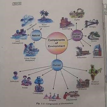 Components of Environment