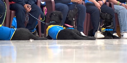 Service dogs reunited with Coffee Creek inmates who helped raise them