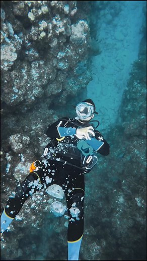 2.9K views · 67 reactions |  Creating bubble rings underwater is...