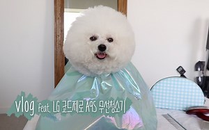 【Onnuk】韩国女生onuk回家后发现垃圾桶被踢翻了&给狗狗剪头（feat.LG code zero A9S无线清扫器）