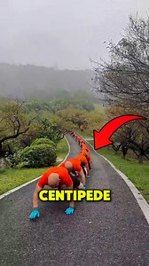 Why Are These People Crawling Like Crocodiles? 😲 #exercise #workout #crocodilecrawl #crocodilewalk #reels | Now You Know