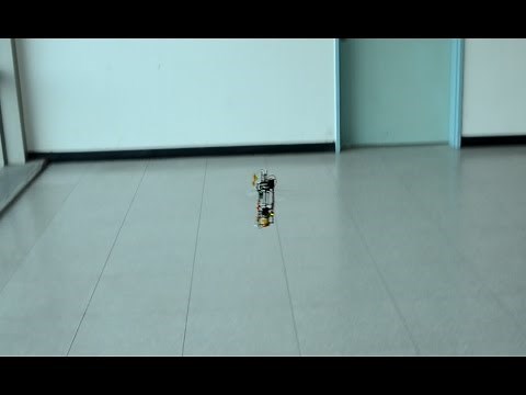 First controlled flight of an insect-like tailless Flapping-wing UAV (KUBeetle)