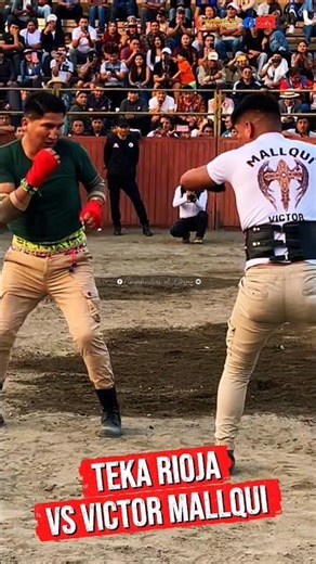 Pelea de alto nivel | BOLIVIA vs PERÚ 💣parte 4 #takanakuyperu #takanakuyvstinku #tinku #takanakuy