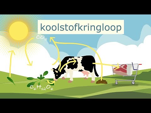 De koolstofkringloop