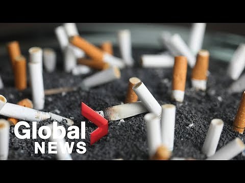New study says ex-smokers' lungs can heal