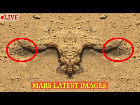 Mars Curiosity Rover Released Latest Images LIVE 2022- MARTE
