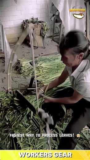 Efficient Manual Leaf Cutting Tool for Fast Vegetable Processing and Farm Feed Preparation