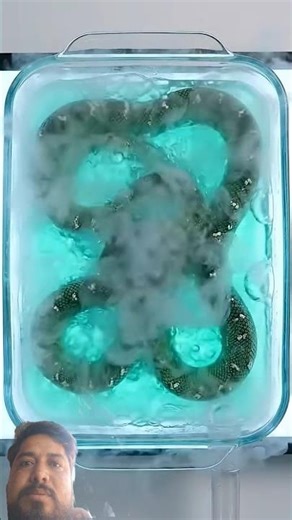 Blue Pit Viper Skeleton Reveal #sciencevideo😱😱