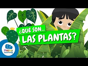 🌱 WHAT ARE PLANTS? | Characteristics and Types | Educational Videos for Kids @HappyLearningES