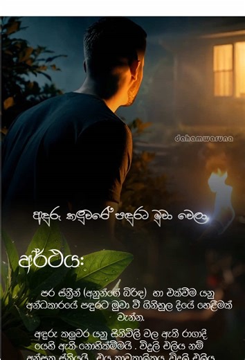 දුවන මුවන් දැක නොදමන් නෙලුවපලා