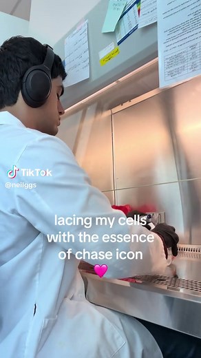 Exploring the Essence of Chase Icon
