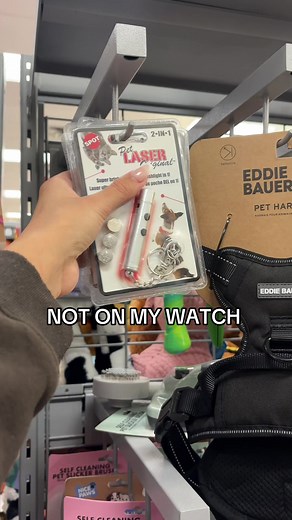 Risks of Using Laser Pointers with Pets