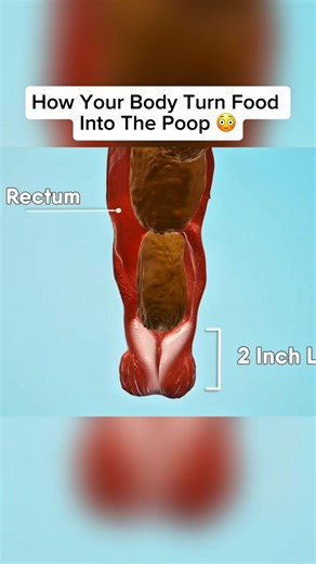 How Things Actually Work 🤯