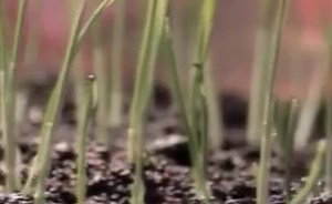 Sorry, we have encountered a problem. - Alexander Street, a ProQuest Company