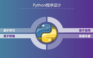 Python 3.8与海象运算符