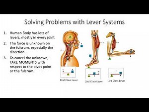 How to Solve Lever Problems