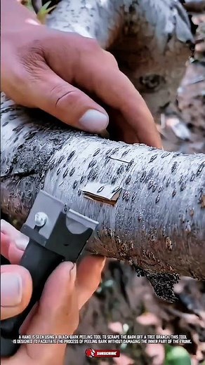 Innovative Grafting Cutting Tool: Precision Plant Propagation Aid