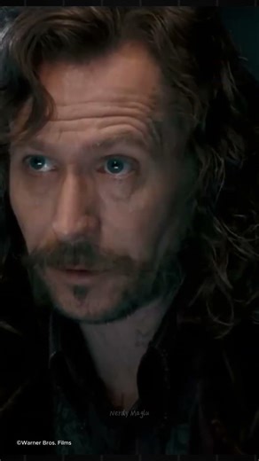 The Broken Mirror That Could Have Saved Sirius Black… | Dark Harry Potter Secret Explained