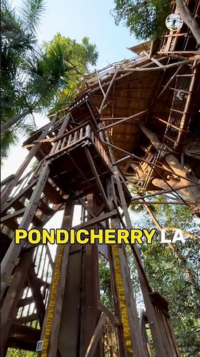 India’s trending cafe | India’s first tree top cafe | most visit cafe in Pondicherry , Auroville