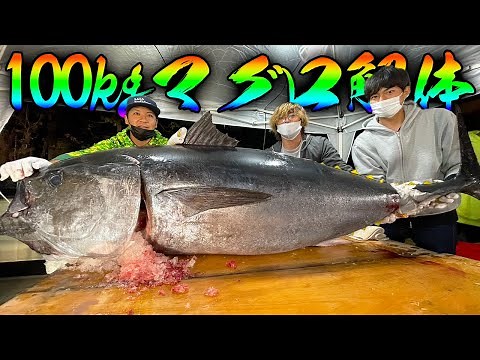 Cut up and eat 100 kilos of tuna!!