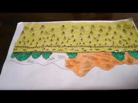 Color the picture of the rice field scene 10 Honey, I Dismembered The Kids