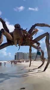 The crab invasion begins #nightmarefuel #crab #horror #scary | Neuro Archives