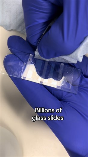 Unique Experiences in My PhD Journey